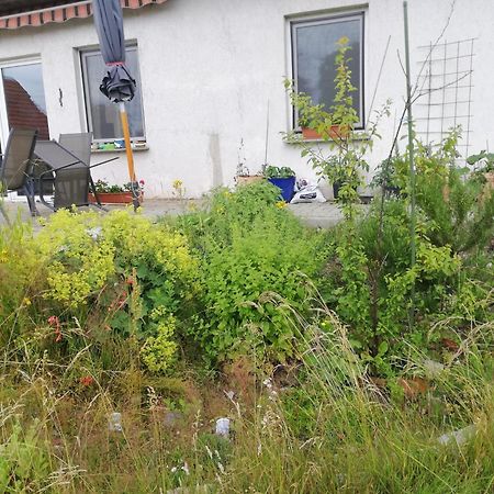 Ferienwohnung Wittenburg Eksteriør bilde