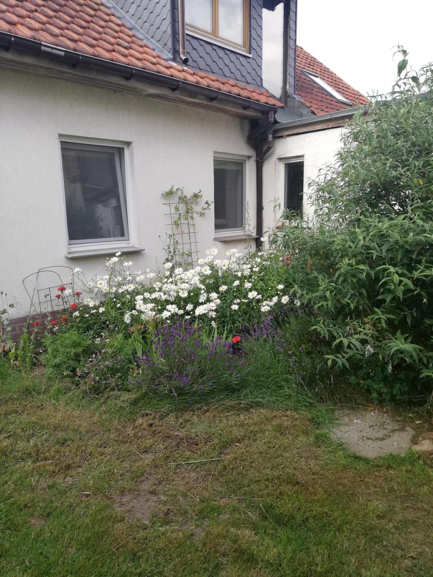 Ferienwohnung Wittenburg Eksteriør bilde